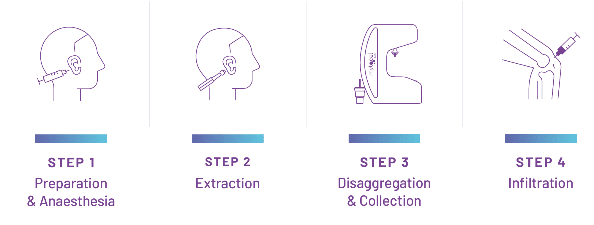 Line-drawn icons of the four steps: preparation and anaesthesia at the ear, extraction with a punch, disaggregation and collection in the processing unit, infiltration into the knee